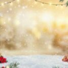 Season’s Greetings and Happy Holidays